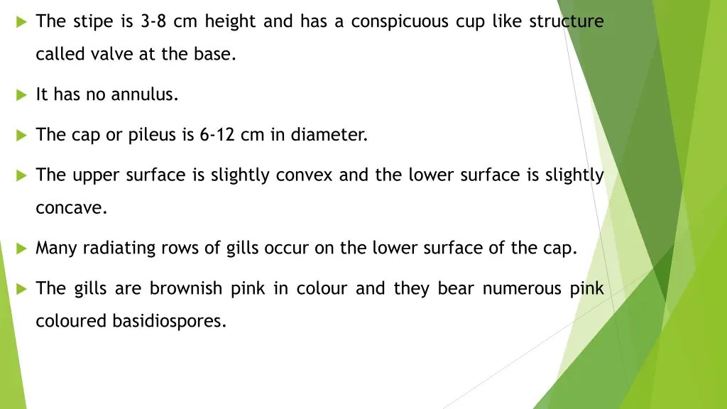 the stipe is 3 8 cm height and has a conspicuous