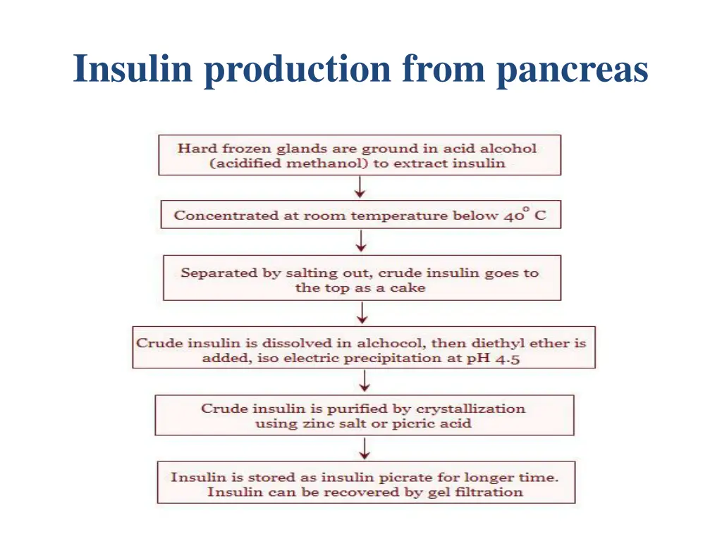 insulin production from pancreas