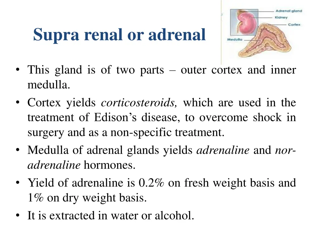 supra renal or adrenal