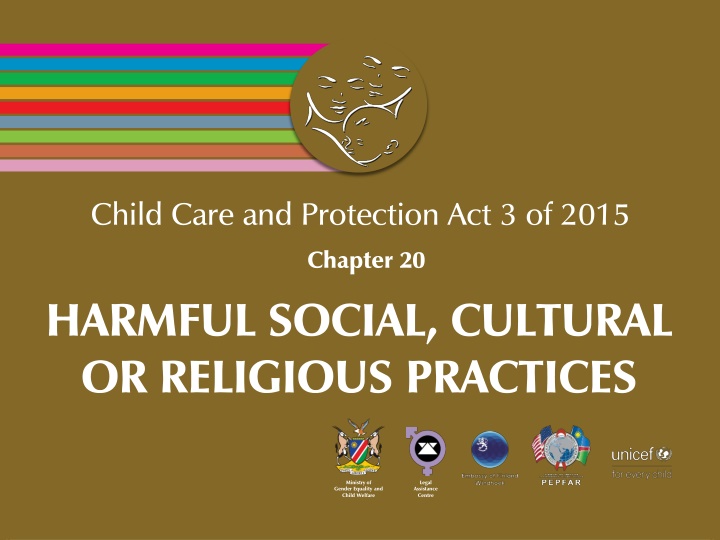 child care and protection act 3 of 2015