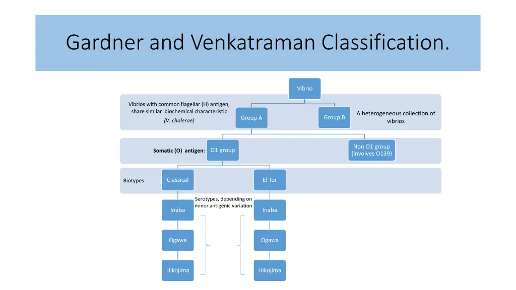 gardner and venkatraman classification