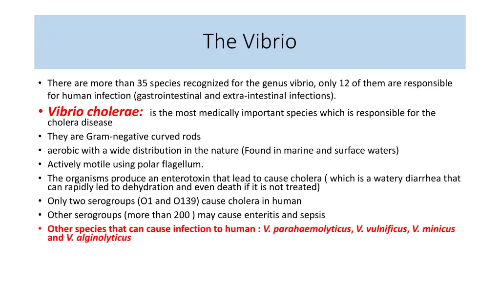 the vibrio