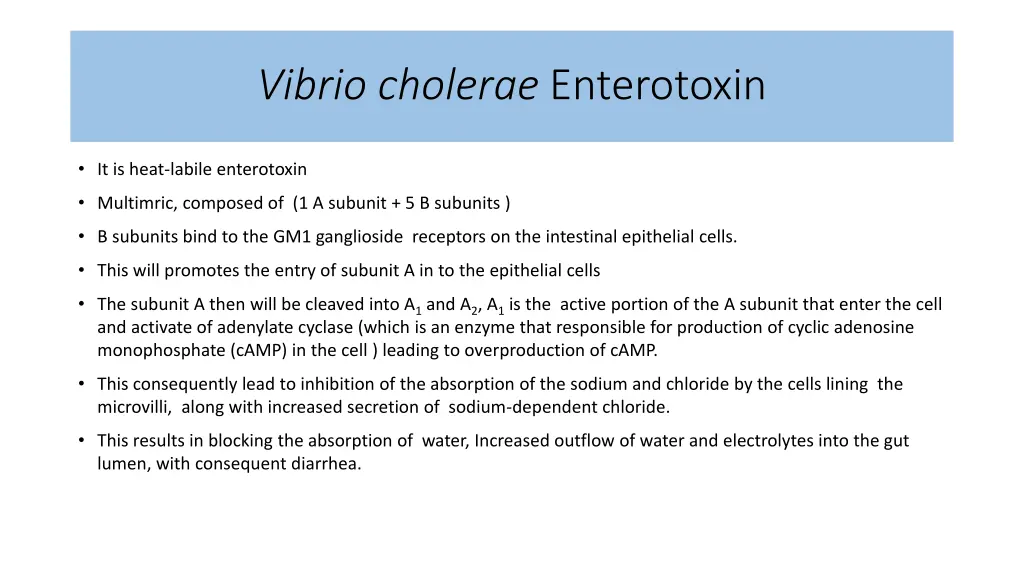 vibrio cholerae enterotoxin