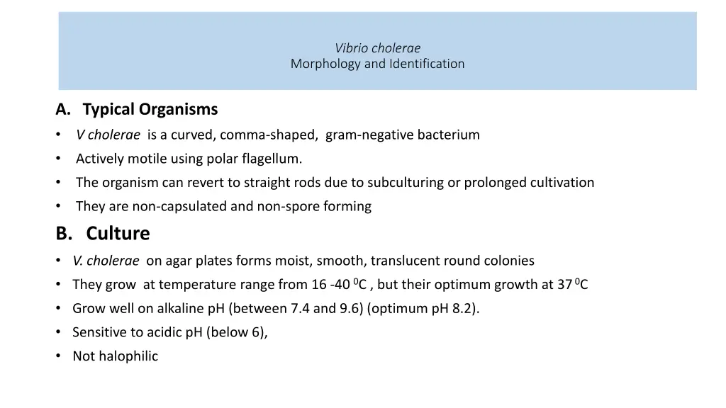 vibrio cholerae morphology and identification