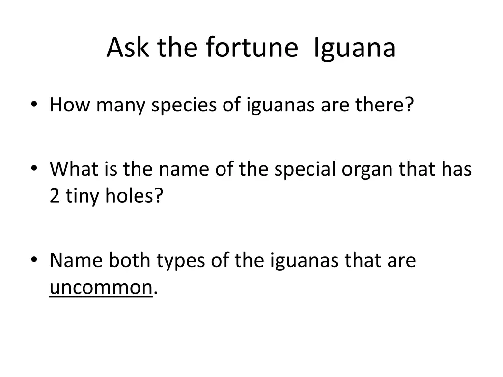 ask the fortune iguana