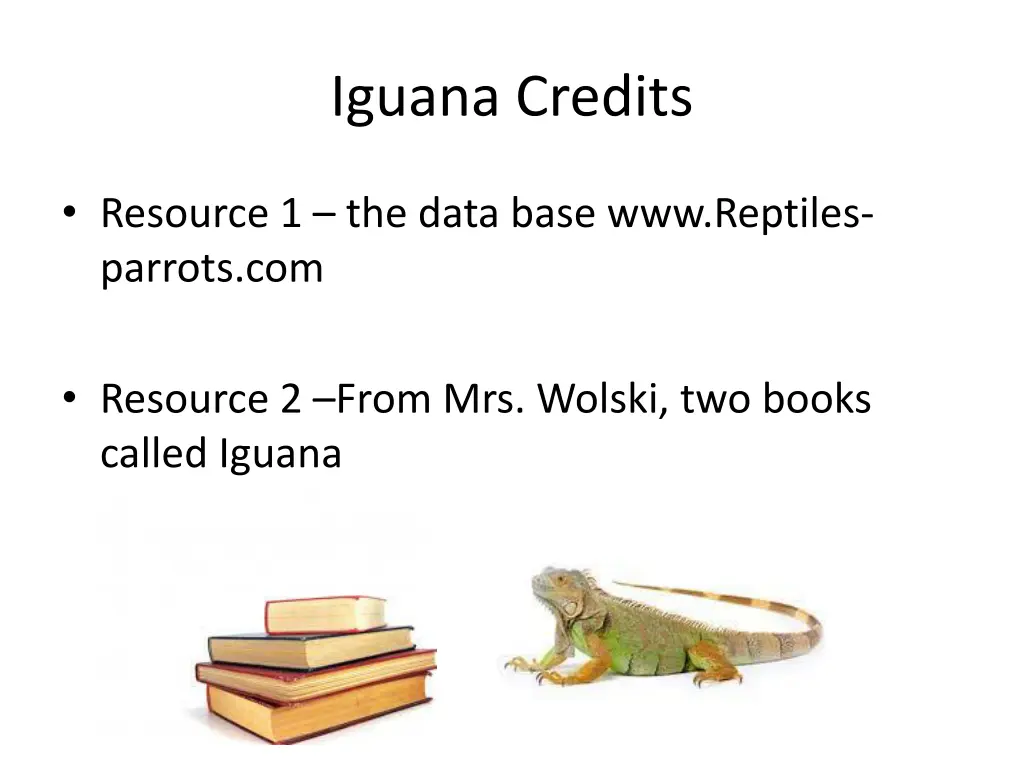 iguana credits