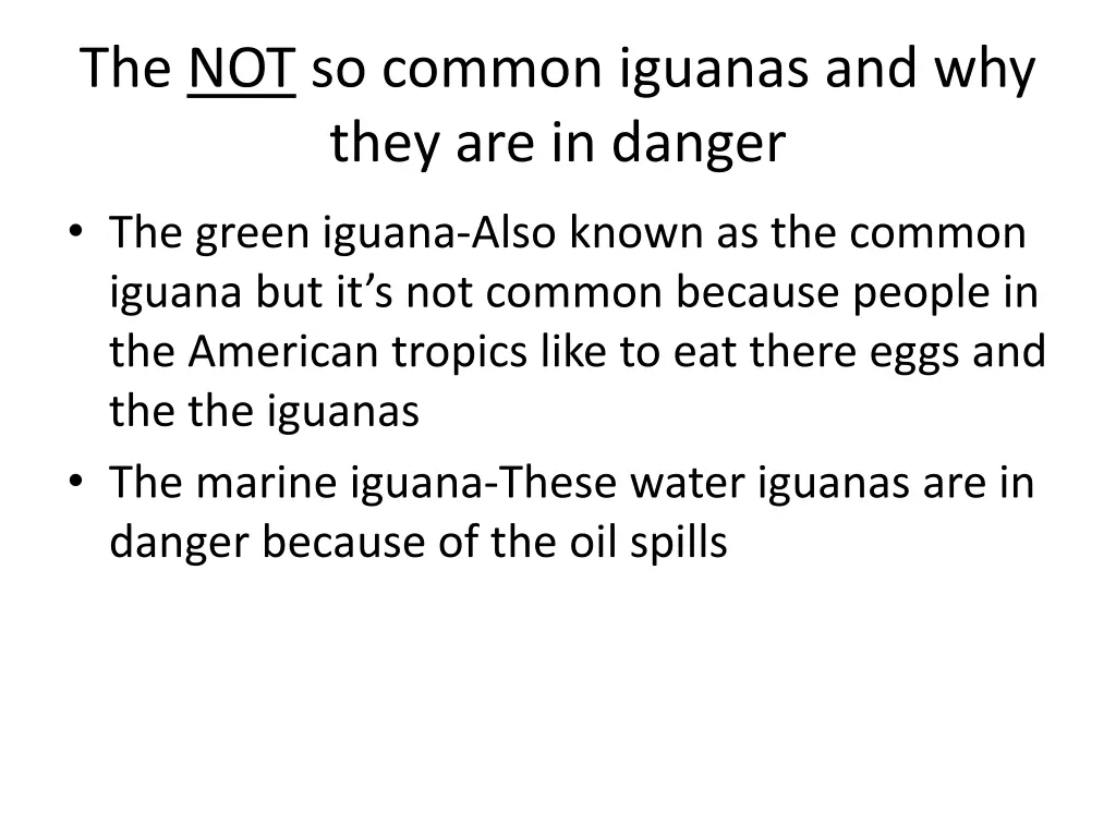 the not so common iguanas and why they