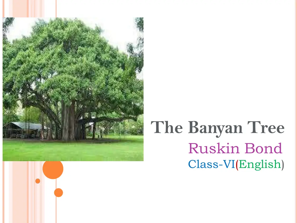 the banyan tree ruskin bond class vi english