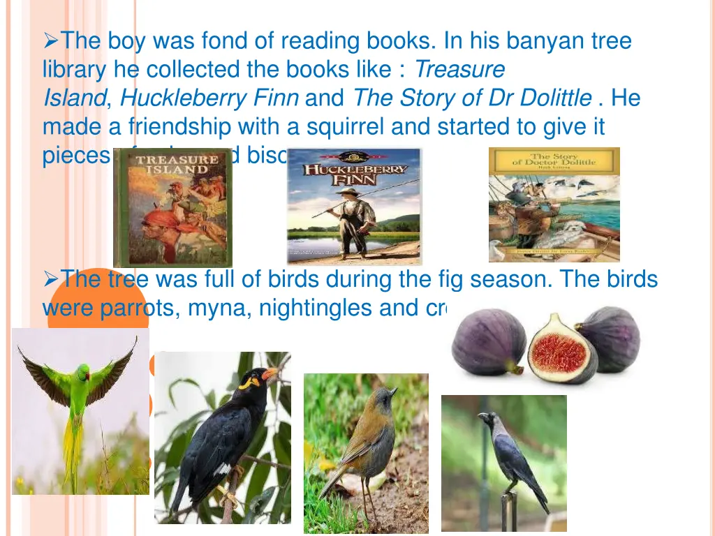 the boy was fond of reading books in his banyan