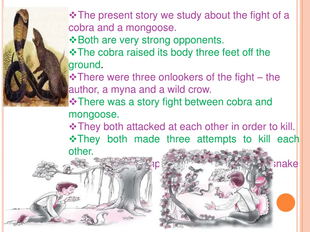 the present story we study about the fight