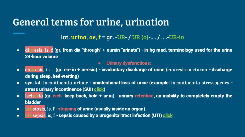 general terms for urine urination