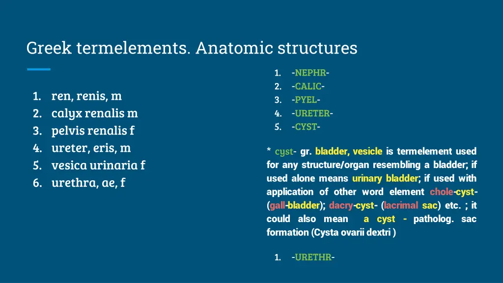 greek termelements anatomic structures