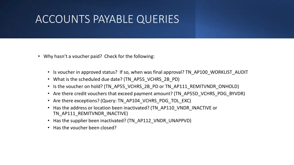 accounts payable queries 1