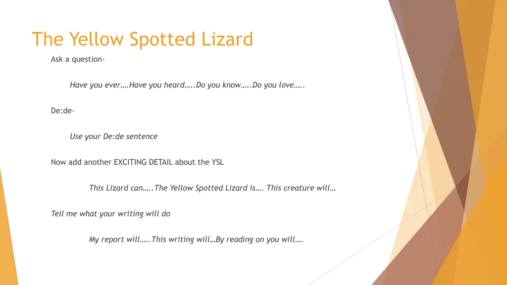 the yellow spotted lizard 1