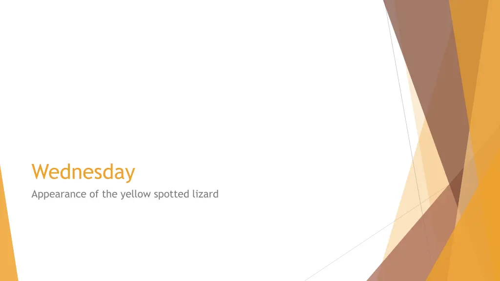 wednesday appearance of the yellow spotted lizard