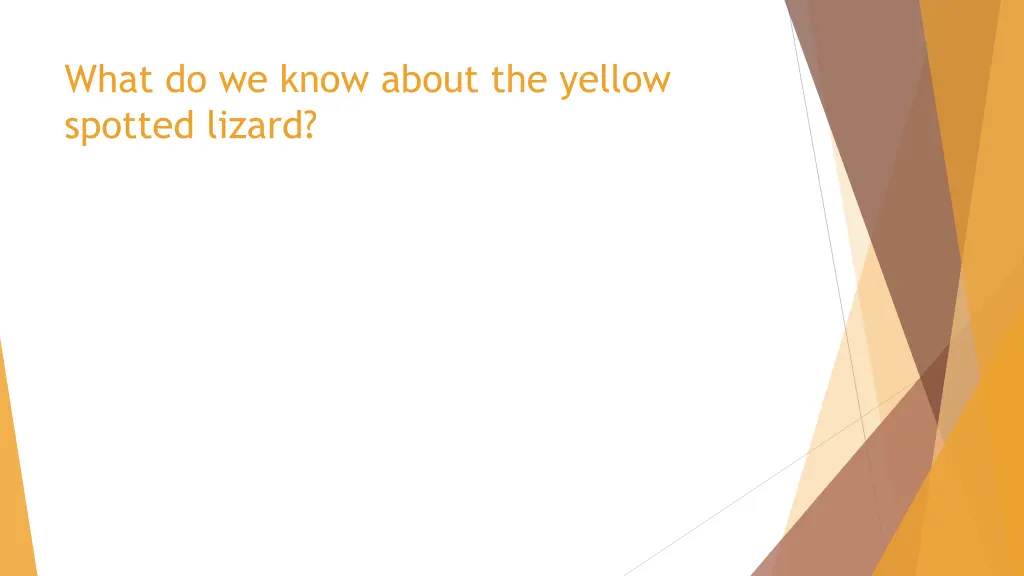 what do we know about the yellow spotted lizard