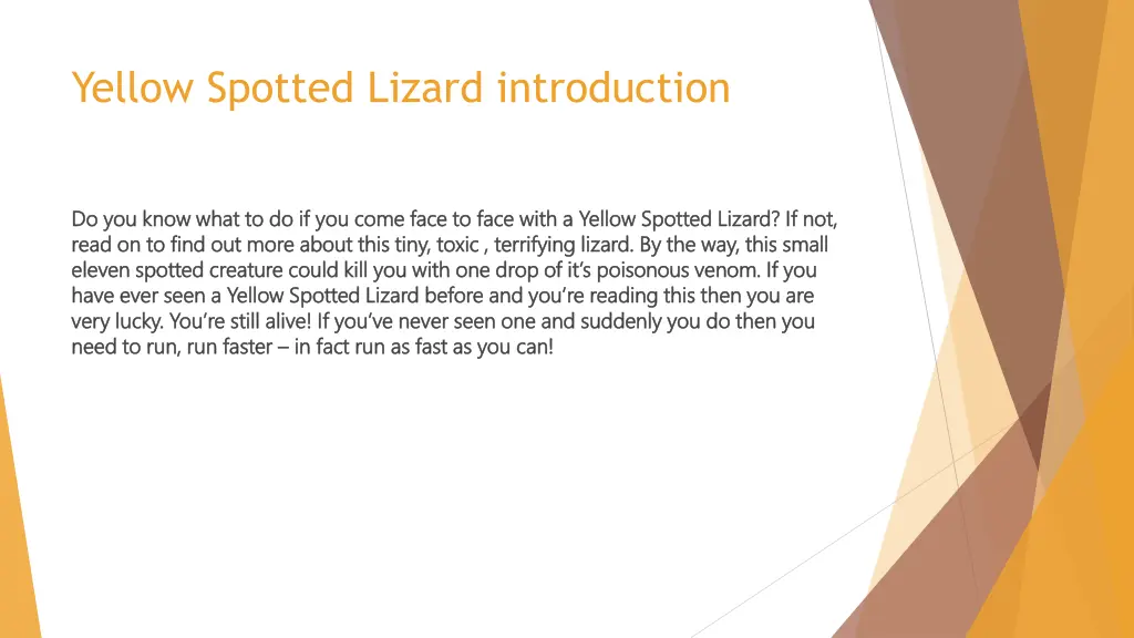 yellow spotted lizard introduction