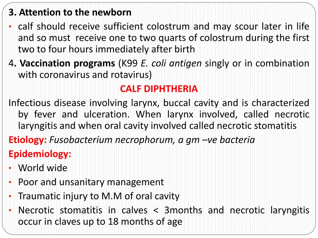 3 attention to the newborn calf should receive