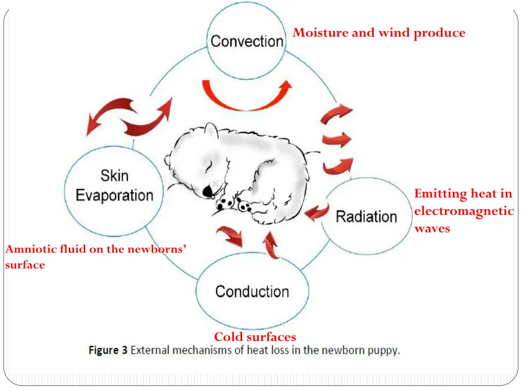 moisture and wind produce