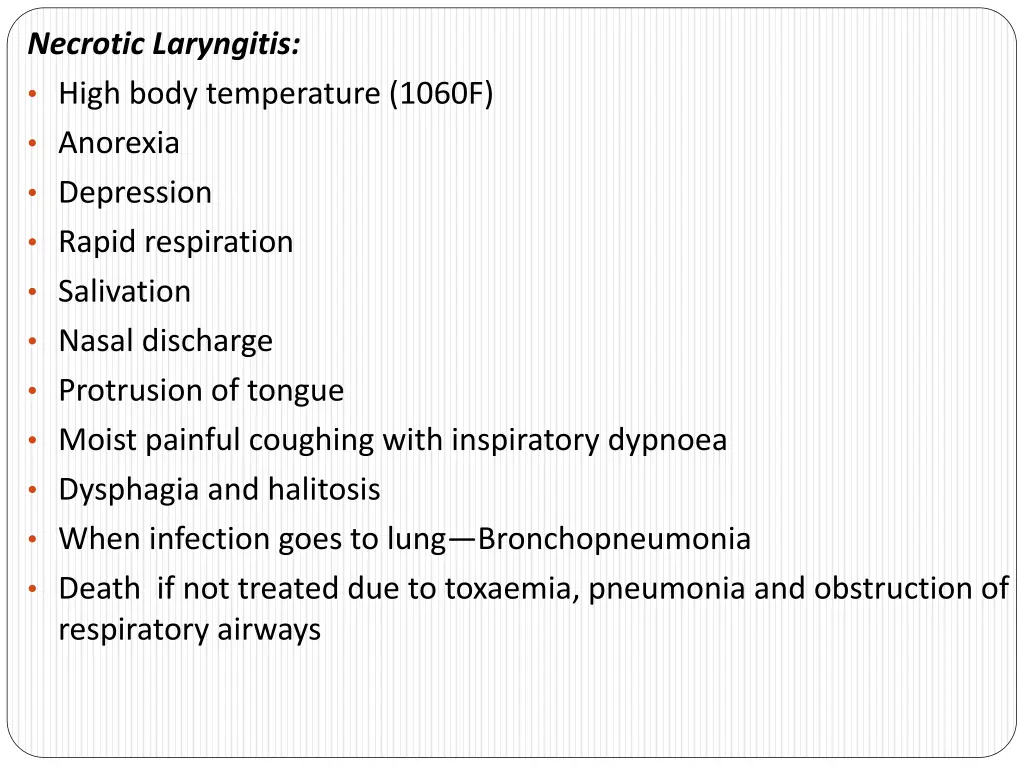 necrotic laryngitis