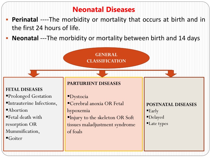 neonatal diseases