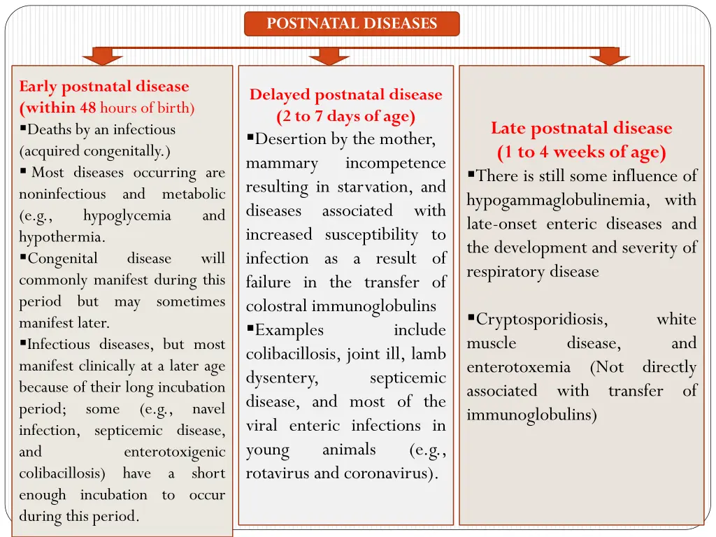 postnatal diseases