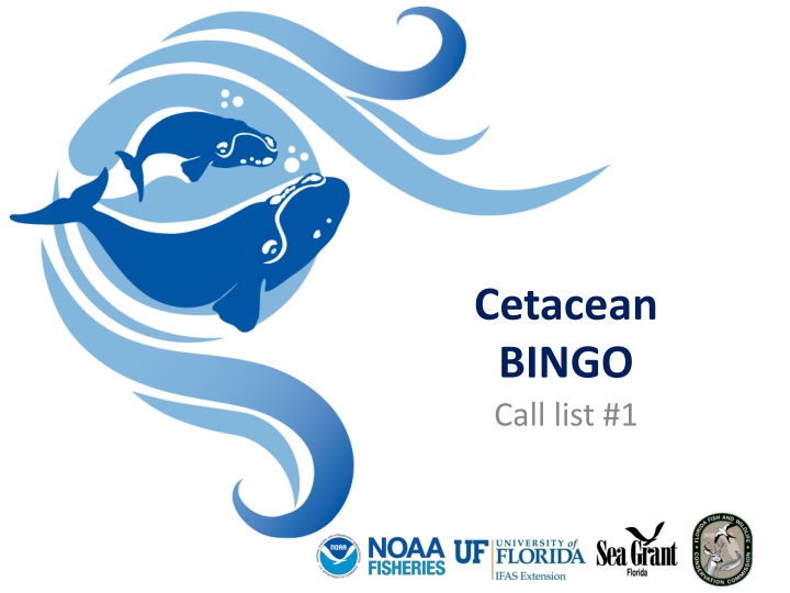 cetacean bingo call list 1