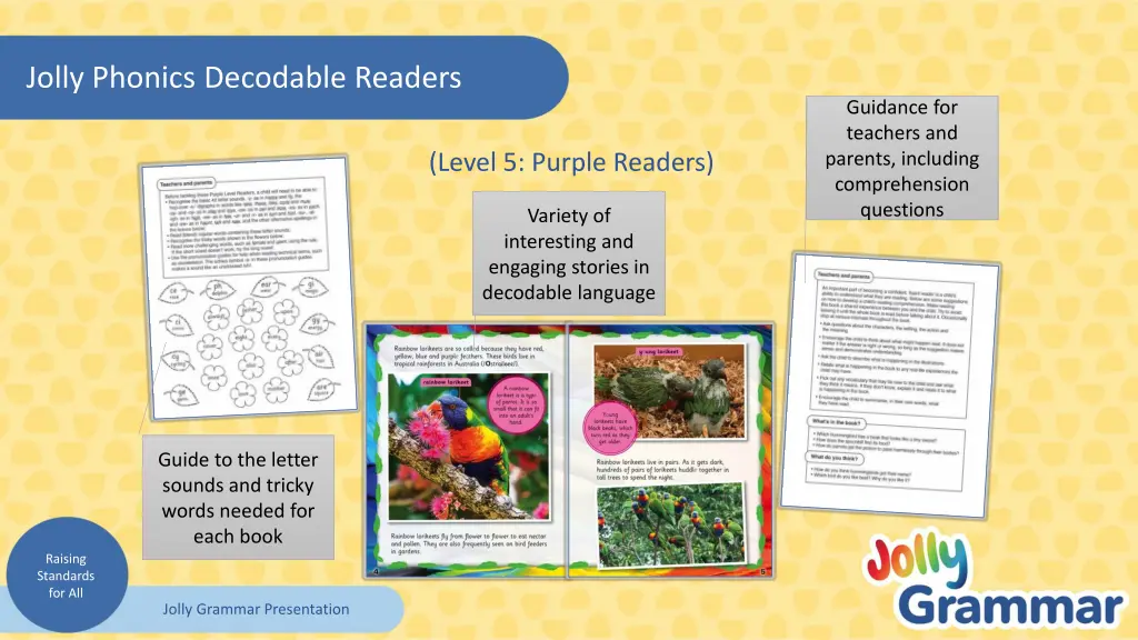 jolly phonics decodable readers 4