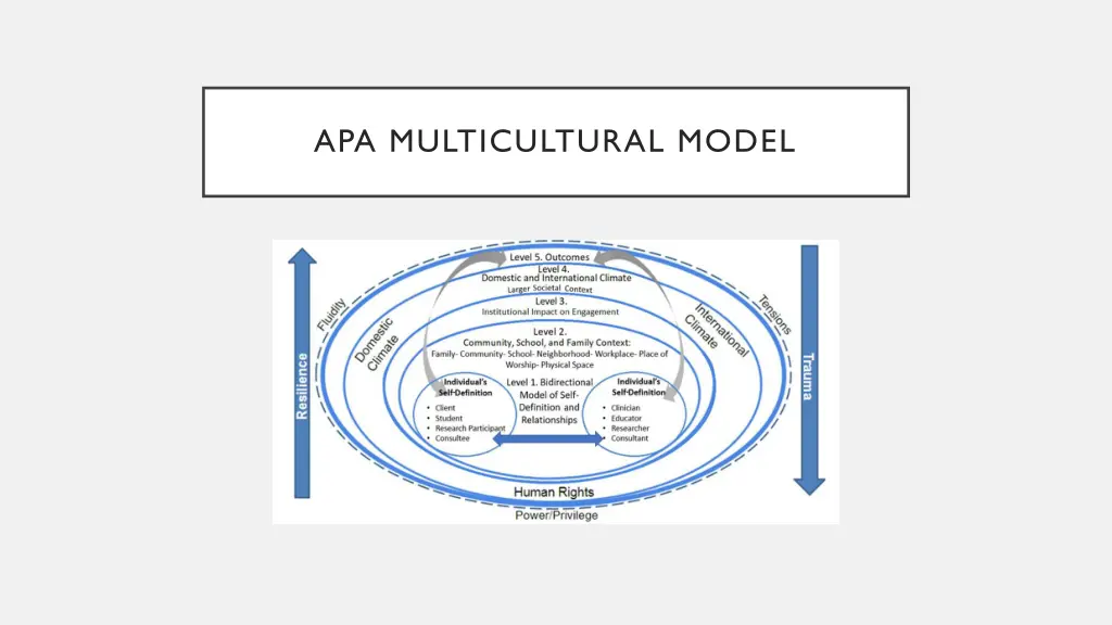 apa multicultural model