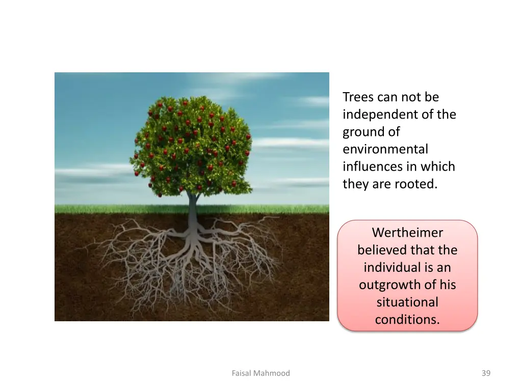 trees can not be independent of the ground