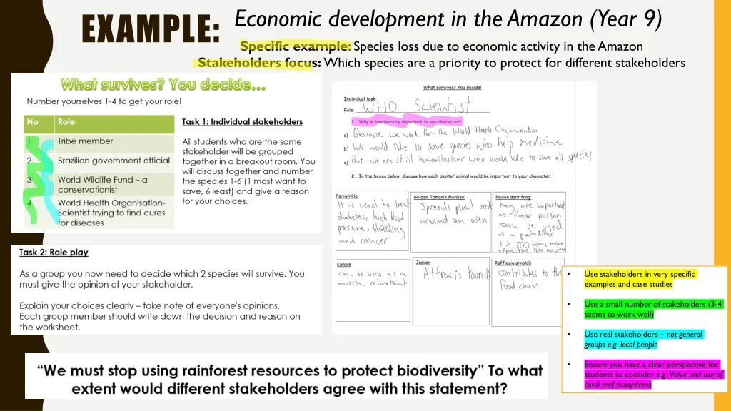 example economic development in the amazon year