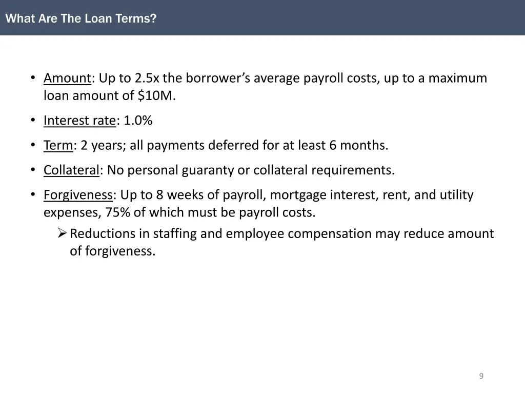 what are the loan terms