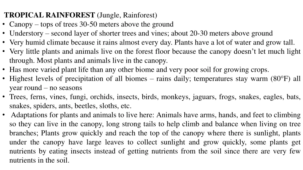 tropical rainforest jungle rainforest canopy tops