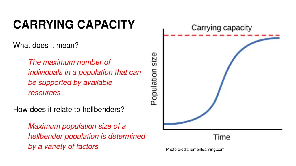 carrying capacity