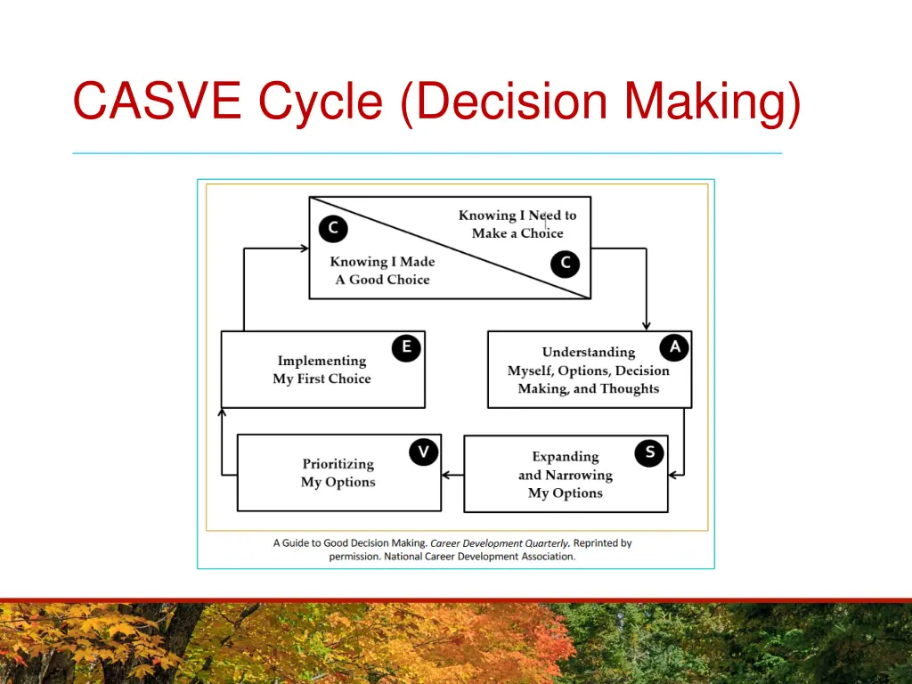 casve cycle decision making 1