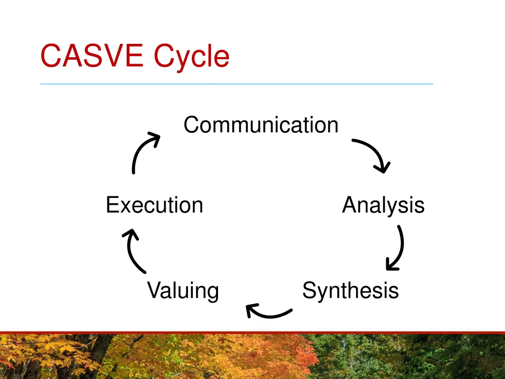 casve cycle