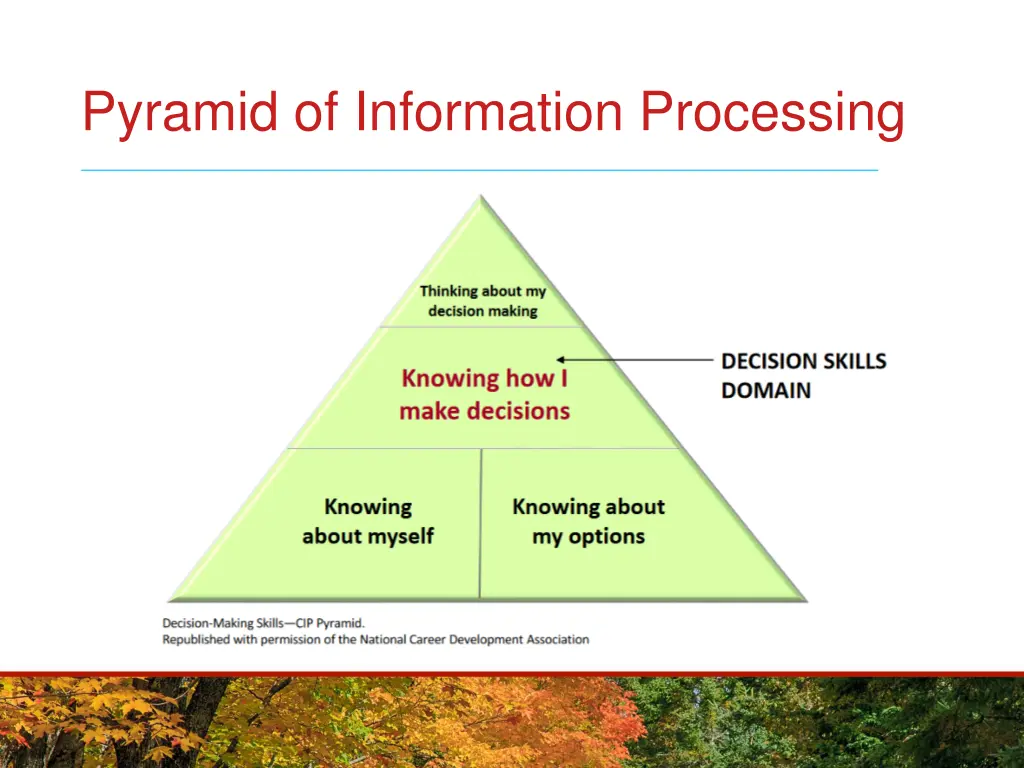 pyramid of information processing