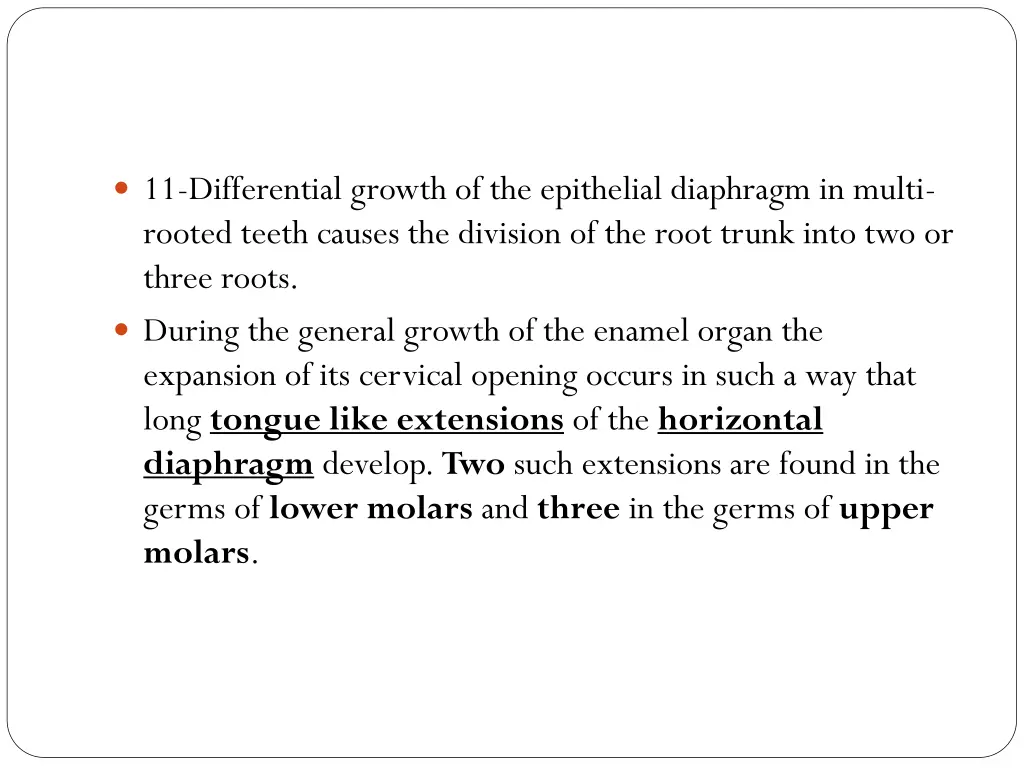 11 differential growth of the epithelial