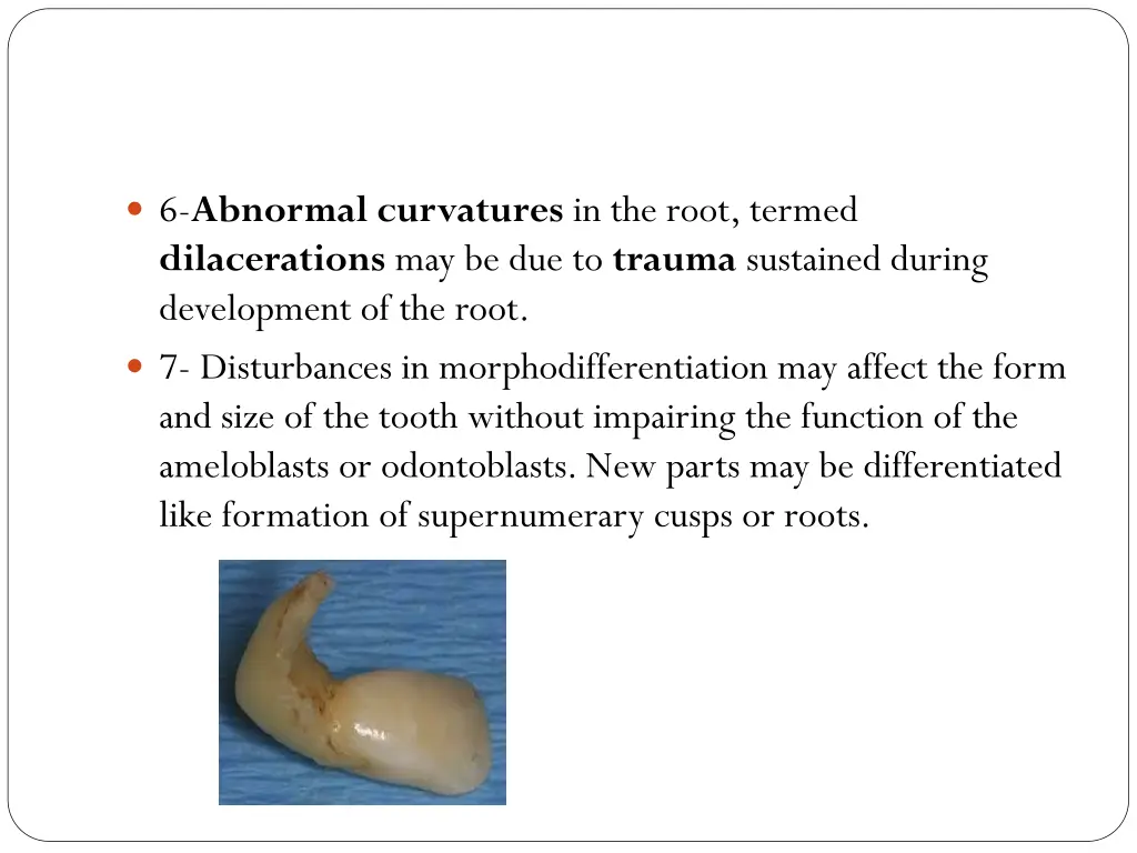 6 abnormal curvatures in the root termed