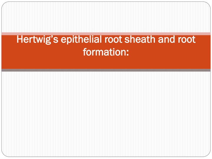 hertwig s hertwig s epithelial root sheath