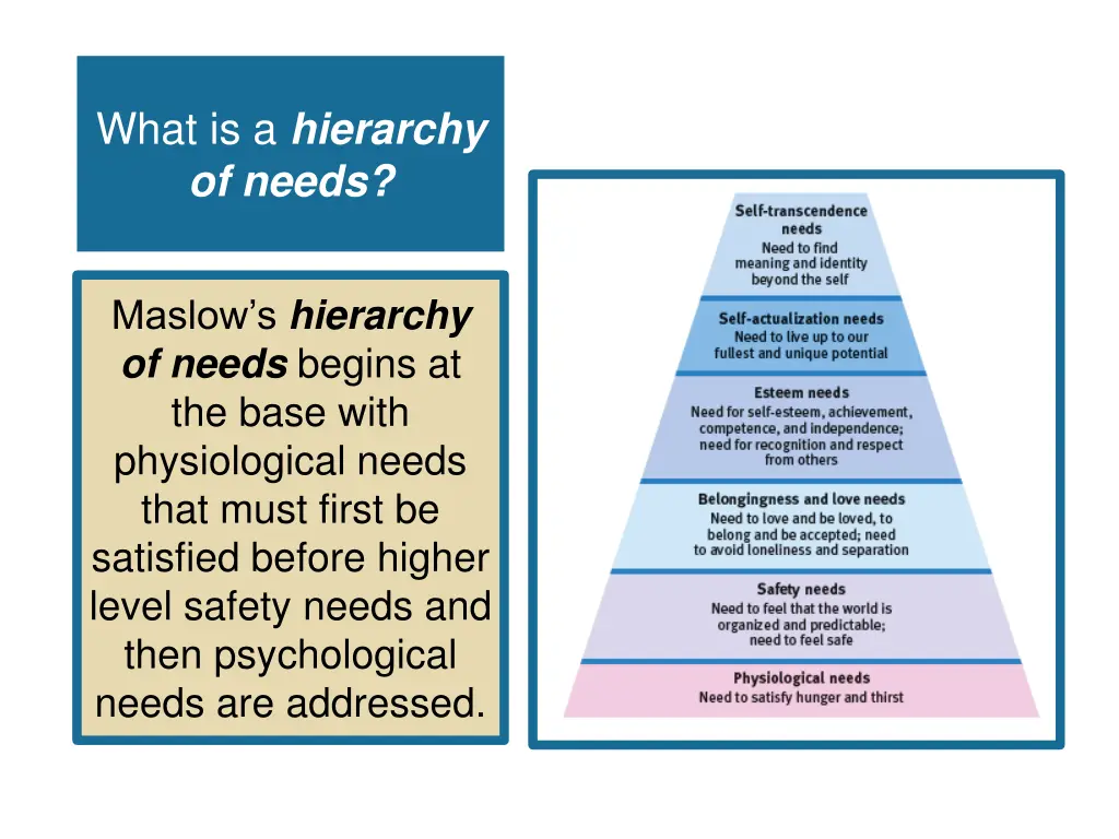 what is a hierarchy of needs