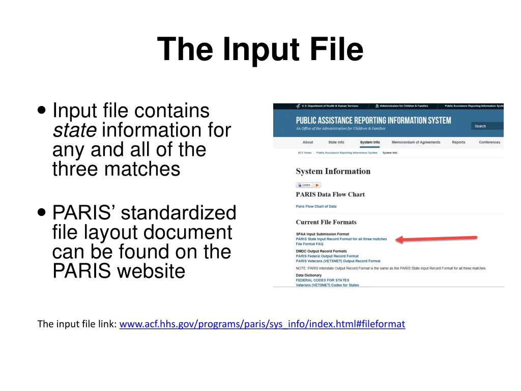 the input file