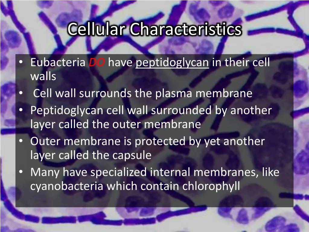 cellular characteristics 1