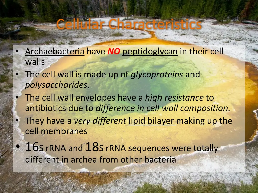 cellular characteristics