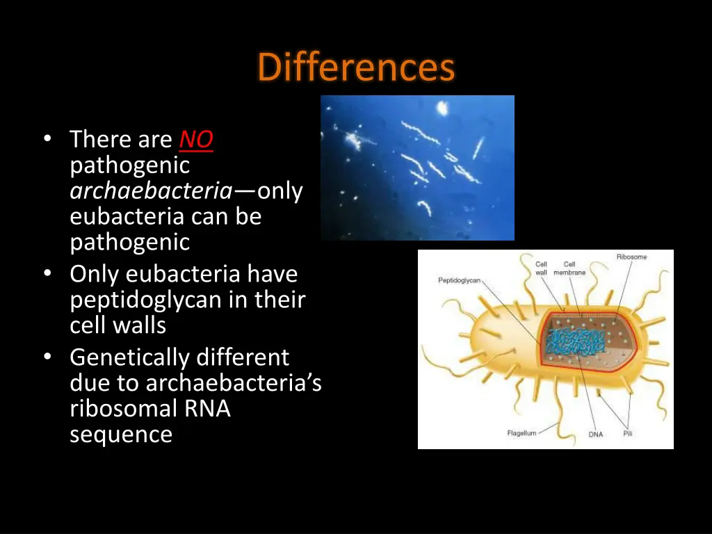 differences