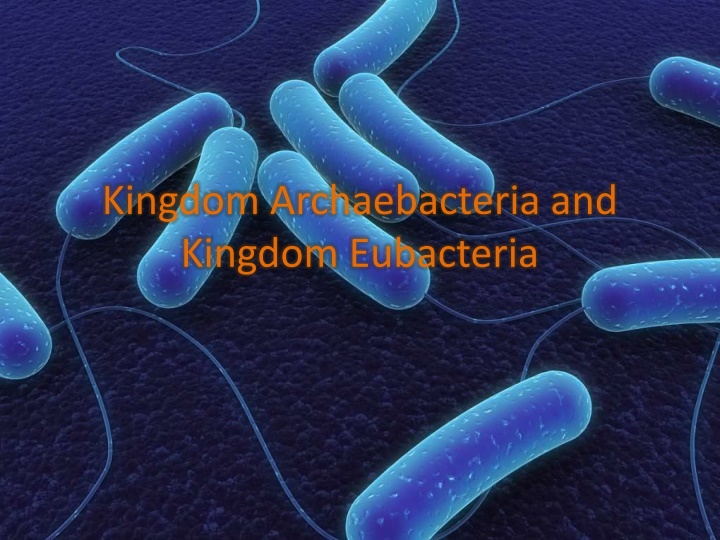 kingdom archaebacteria and kingdom eubacteria