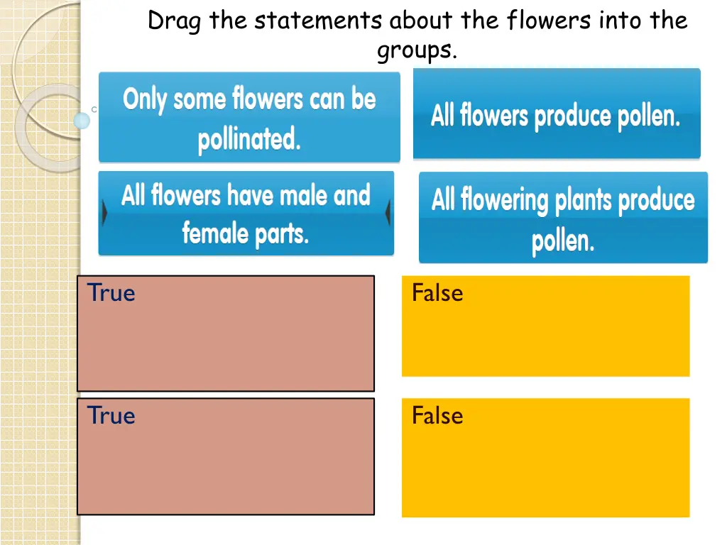 drag the statements about the flowers into