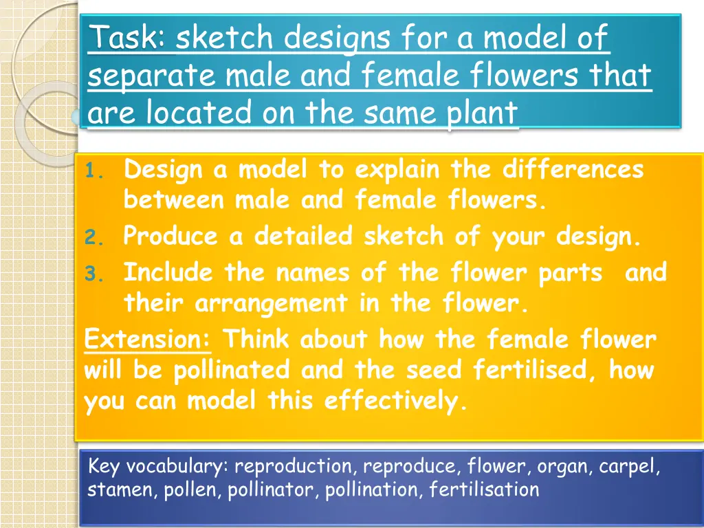 task sketch designs for a model of separate male