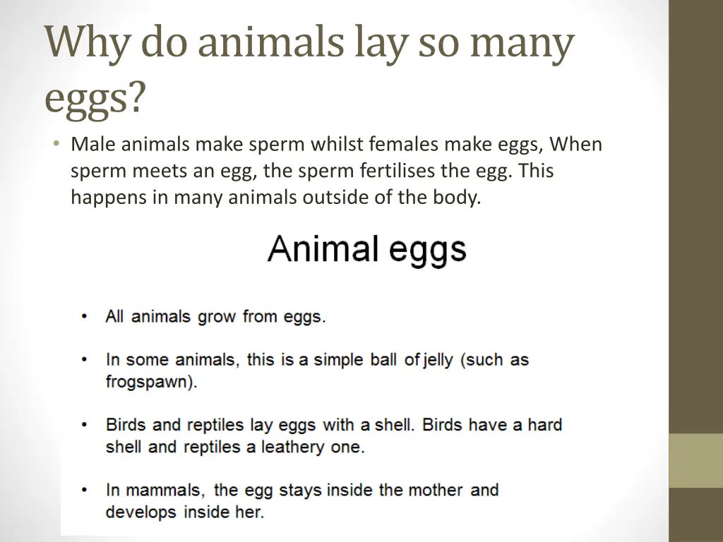 why do animals lay so many eggs male animals make