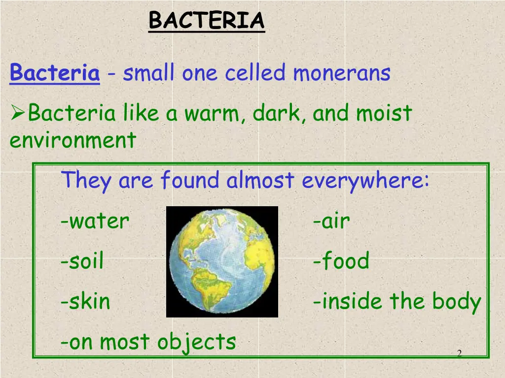 bacteria